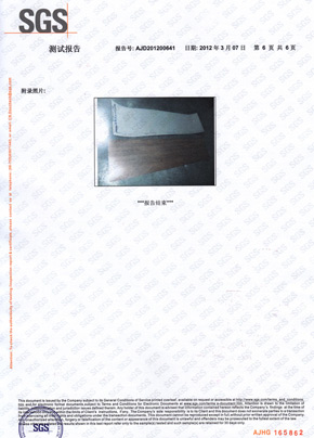 格林雅檢查報(bào)告SGS(中) 格林雅檢查報(bào)告SGS(中)