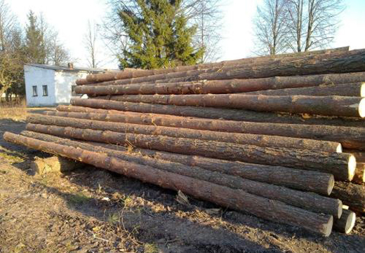 裝修用木材的分類 裝修用木材的分類