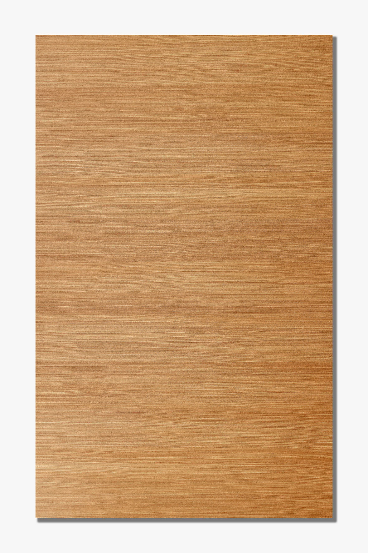 大地紅豆杉         G4862-NT 大地紅豆杉         G4862-NT