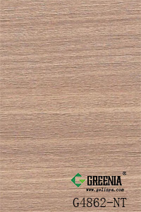 大地紅豆杉         G4862-NT 大地紅豆杉         G4862-NT