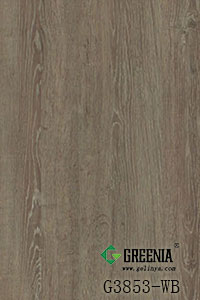原野橡木       G3853-WB 原野橡木       G3853-WB